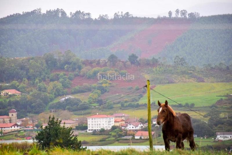 Foto 9675cb5a-8a6b-4ed4-a6f7-4e457b78d8c9. Finca rústica a Urduliz