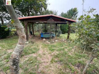 Finca rústica a Gorliz. Terreno amplio de 65.000 m2 es en su gran mayoria monte.