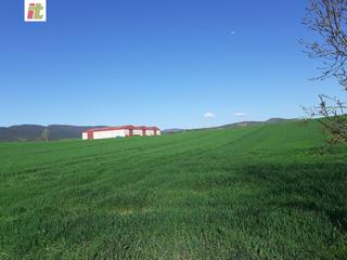Terrain résidentiel à Puebla de Arganzón (La). Inmobiliaria telletxe vende terreno industrial en la puebla de a
