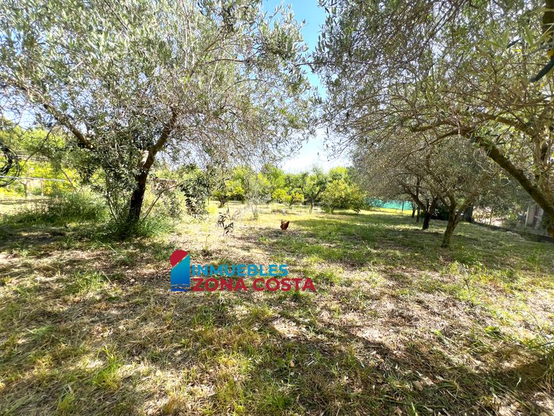 Foto 651070cf-8976-4dbb-a928-67a4b3e277c7. Masia amb xemeneia aparcament piscina a Vilamarxant