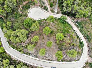 Terreny residencial  Avenida avinguda dels pinars. Terreno urbano en vallirana