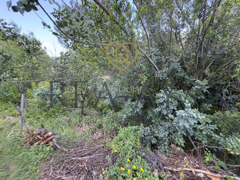 Foto b0eb295b-98d0-446c-831b-000177504888. Terreno residencial terrenos en venta en Vallirana