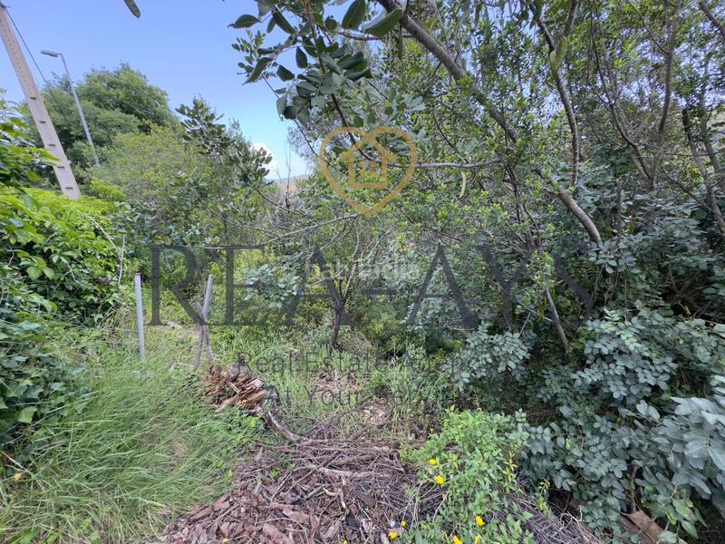 Foto d201553b-1994-4a25-9655-110e6931c829. Wohngrundstück in Vallirana