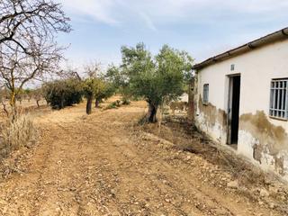 Masia a Biar. Se vende casita de campo en biar