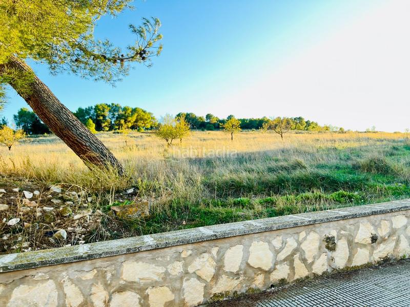 Foto 6c5cade9-6f04-441d-9fe9-3004b6224799. Casale in Camp de Mirra (el)