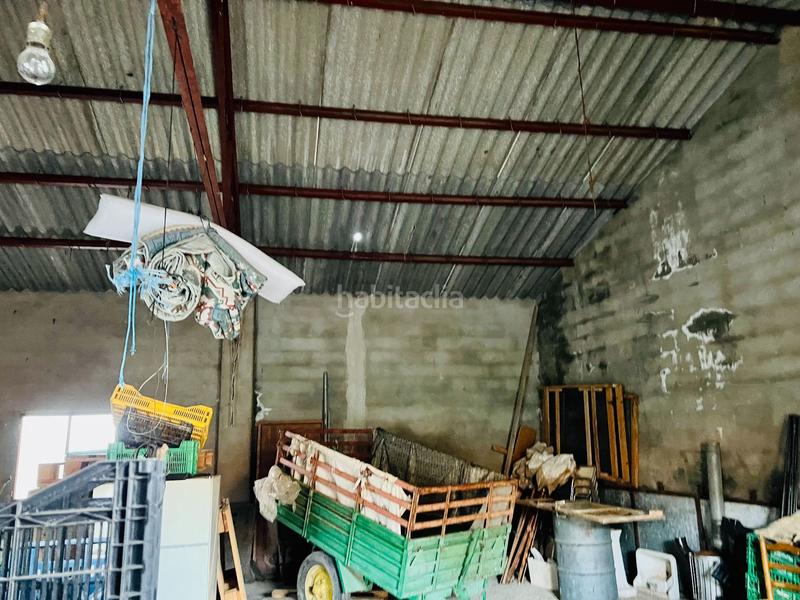 Foto caa53c25-458a-4fd9-a4cc-a4bffbb16810. Casale in Camp de Mirra (el)