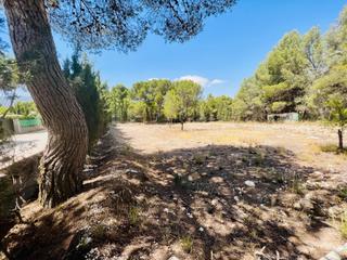 Terreny residencial a Tibi. Se vende parcela en finca terol !