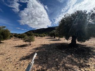 Terreny residencial a Biar. Se vende parcela en biar!