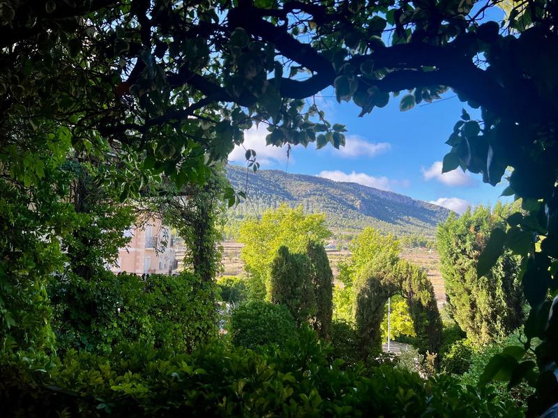 Foto 0a19b8a6-33bf-41ab-bdaf-d1aee31ffb32. Masia amb piscina a Biar