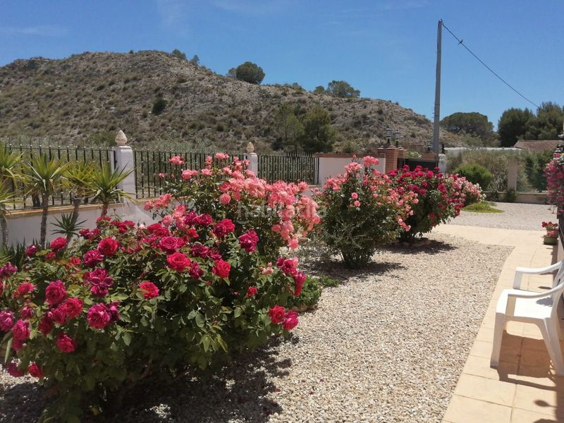 Foto 0eb28990-a3b3-4eee-88ee-8de881b38a8d. Casa amb calefacció piscina a Las Tiesas Villena