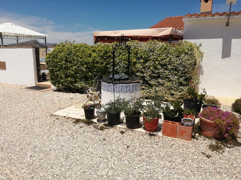Foto 986bba1b-27a9-4c80-bc29-ed428e0a37c1. Casa amb calefacció piscina a Las Tiesas Villena