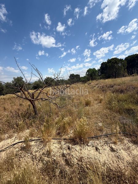 Foto 2f639b51-1883-4bb0-80aa-586d47a853bc. Terreny residencial a Biar