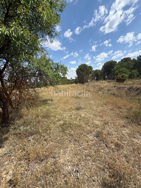 Foto 90fe7b2c-5199-4062-ac49-39a0cf056812. Terreny residencial a Biar