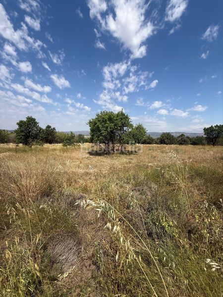 Foto b8d9b8e5-e6f4-4278-bdb3-eb9acb6a2239. Terreny residencial a Biar
