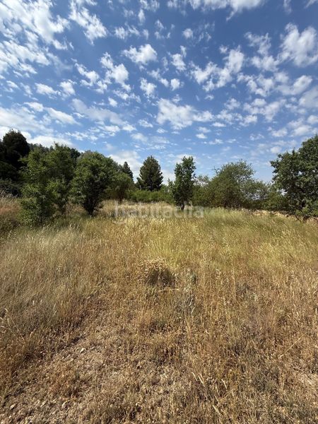 Foto fbc8dfbf-0398-4ca6-9286-2f677c1aac54. Terreny residencial a Biar