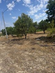 Terreny residencial a Biar. Se vende parcela en biar!