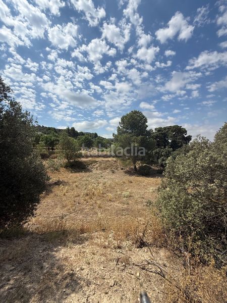 Foto 491866ec-ab6c-4e5e-922d-a6a18a189ee2. Terreny residencial a Biar