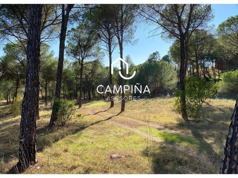 Foto 67bd8ff5-b4d8-416c-bae3-f8ac8cffd4d9. Masia a carretera navahermosa 1 a Beas