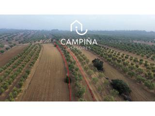 Terreny residencial  Plaza de españa. Parcelas rusticas en venta