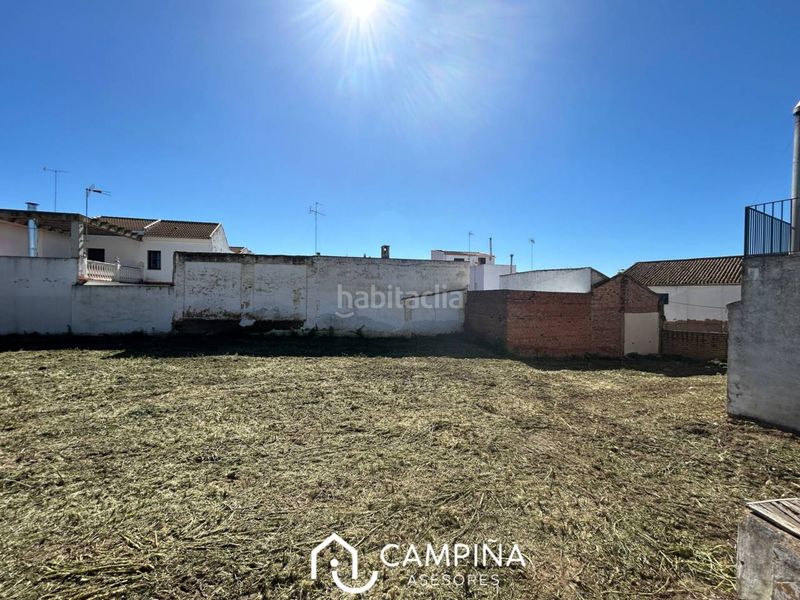 Foto deb40abc-5193-43bc-8b36-03e9d2afec11. Finca rústica a calle pérez quintero 8 a Trigueros