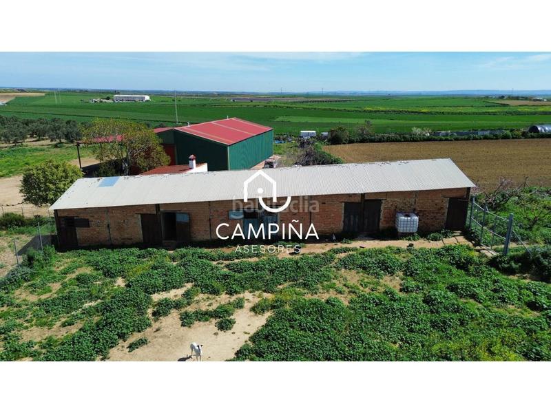 Foto d50f32a0-dd93-45b9-b22a-8fd304e44aaf. Finca rústica a cáceres-san juan del puerto 1 a Trigueros
