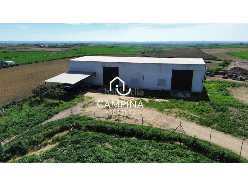 Foto f2a669c3-8d62-4833-929e-8acae15fbd3f. Finca rústica a cáceres-san juan del puerto 1 a Trigueros