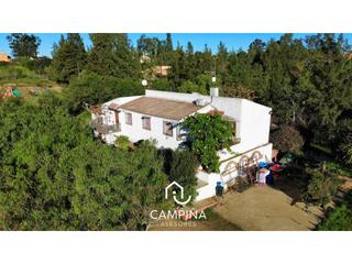 Mas  Paniajo. Casa de campo trigueros