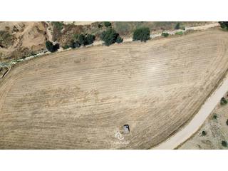 Fondo rustico  Los llano. Fincas rústicas en trigueros