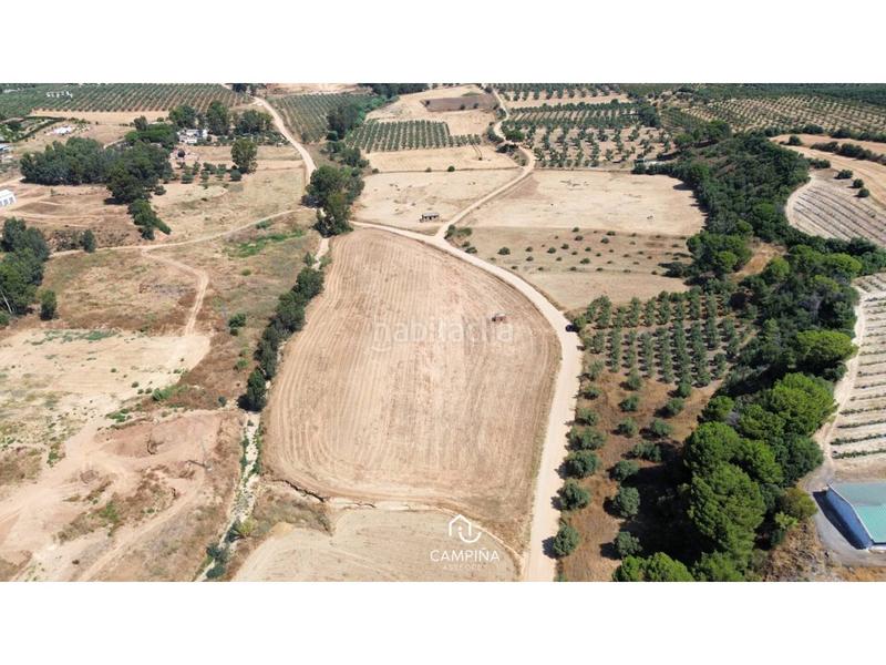 Foto b1246f16-ee9d-49d9-9758-2ae47271ec18. Finca rústica a Trigueros