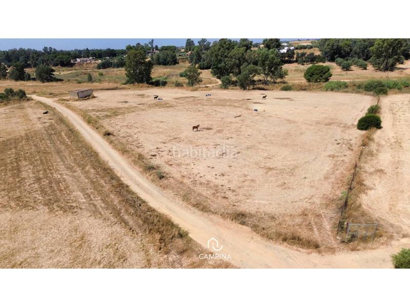 Foto c5b11bd4-6491-4d7e-b359-95e64a6c4292. Finca rústica a Trigueros
