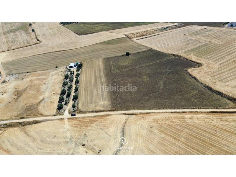 Foto 6b68d078-0abf-48fd-8627-b78032f7f2cd. Finca rústica a Trigueros