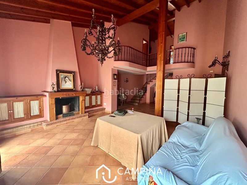 Foto 113aead9-36ec-404d-a169-7a8e7f7f0545. Pis a Trigueros