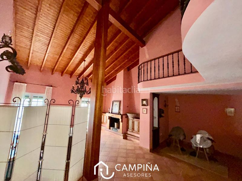 Foto 7e48c21e-add9-4bab-bec6-5665bfcbf130. Pis a Trigueros