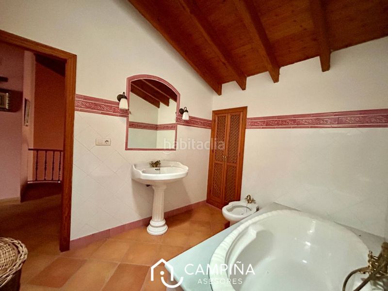 Foto 89cbdadb-61cc-4eb8-bbcc-ec631218c5b3. Pis a Trigueros