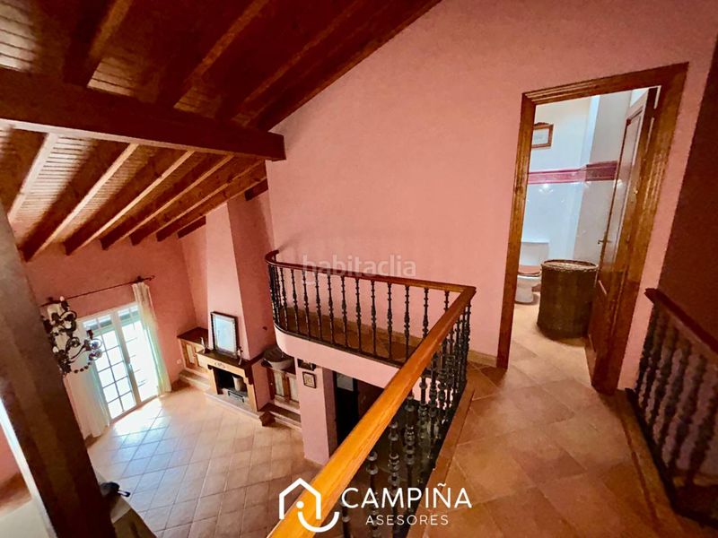 Foto 99007bbc-0864-4b69-bd3a-9a55171c93cb. Pis a Trigueros