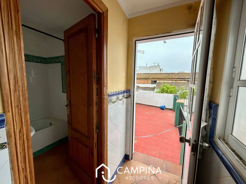 Foto 9e69dfa6-2d7b-4af6-92fb-c27c5e42184f. Pis a Trigueros