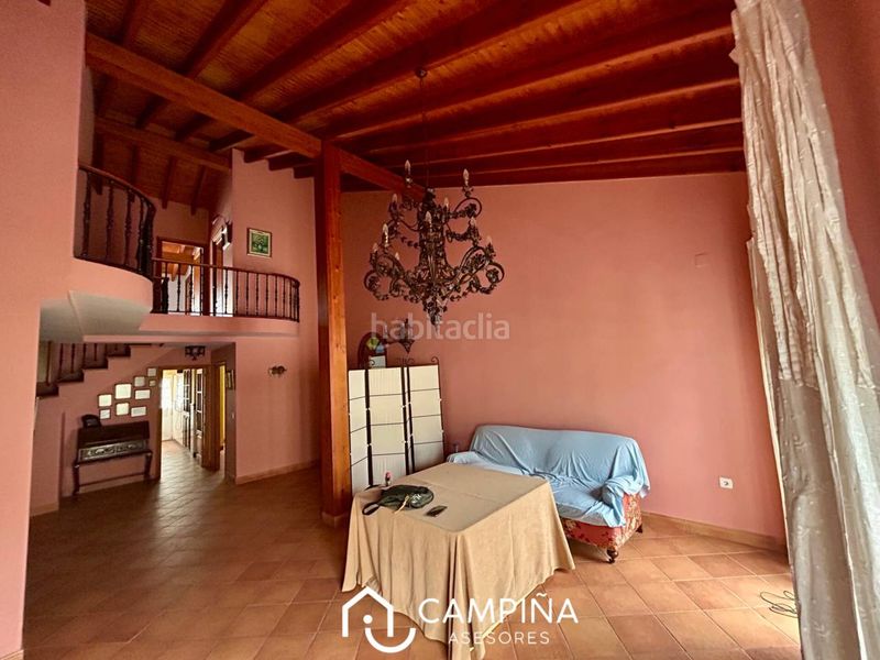 Foto b3897038-813b-4af3-89a3-0c80e4848348. Pis a Trigueros