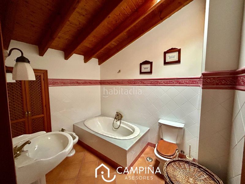 Foto b8b1a252-5517-49b4-8e18-874b7c498466. Pis a Trigueros