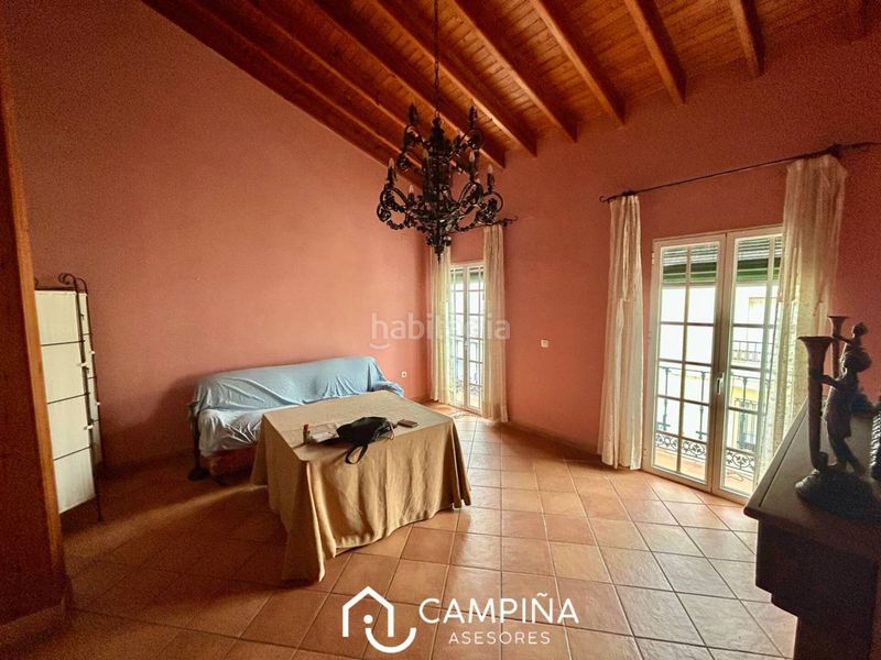 Foto fd6f23e6-ed02-4db2-b1fc-10df342e8a30. Pis a Trigueros