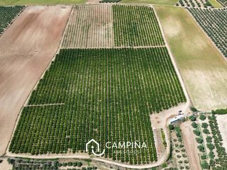 Landgut  Carretera nacional 431. Finca rústica en gibraleón
