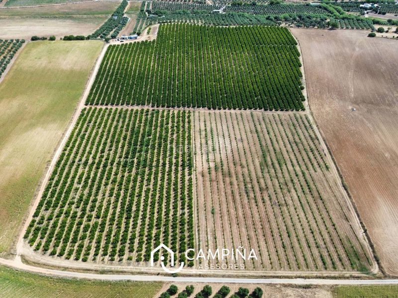 Foto f882d77e-c55d-4240-a730-b69e4856a2ba. Finca rústica  en Gibraleón