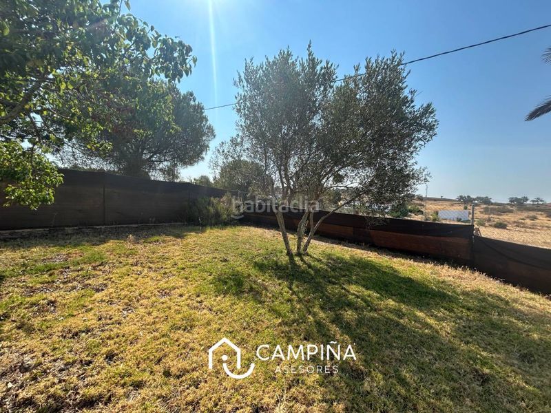 Foto 1c432c58-f1e8-4753-8fc9-995a56367e4e. Casa a calle san batolome 1 a Beas