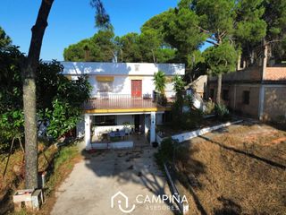 Masia en Calle sapu los pinos 1. Casa de campo en los pinos en valverde del camino
