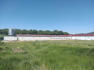 Nau industrial a Calle la carrera 28. Granja de conejos en venta. zúñiga