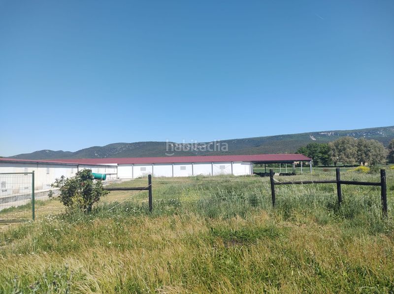 Foto c5e09e93-f4ee-4be7-8de7-bcd78e2f6efd. Nau industrial a calle la carrera 28 a Zúñiga