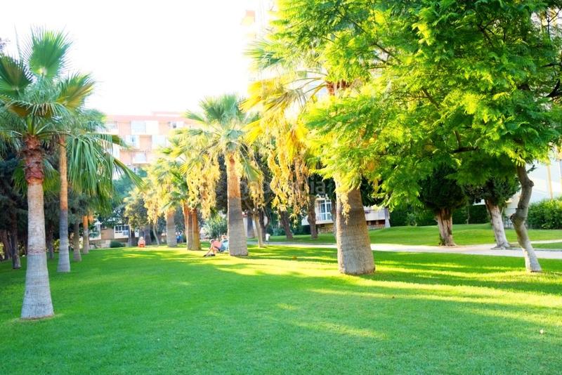 Foto 1b77a3ba-8e08-4ebf-abbf-816a5c66da4f. Studio with pool in Parque de la Paloma Benalmádena