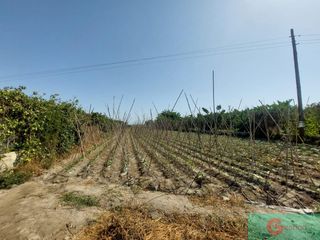 Masia a Playa de Granada. Motrilfinca rustica