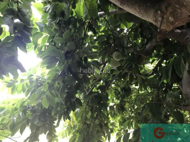 Foto 6ed4e0fb-1bbb-4315-8f0b-1dd428ea4012. Masía finca rustica en Centro Salobreña