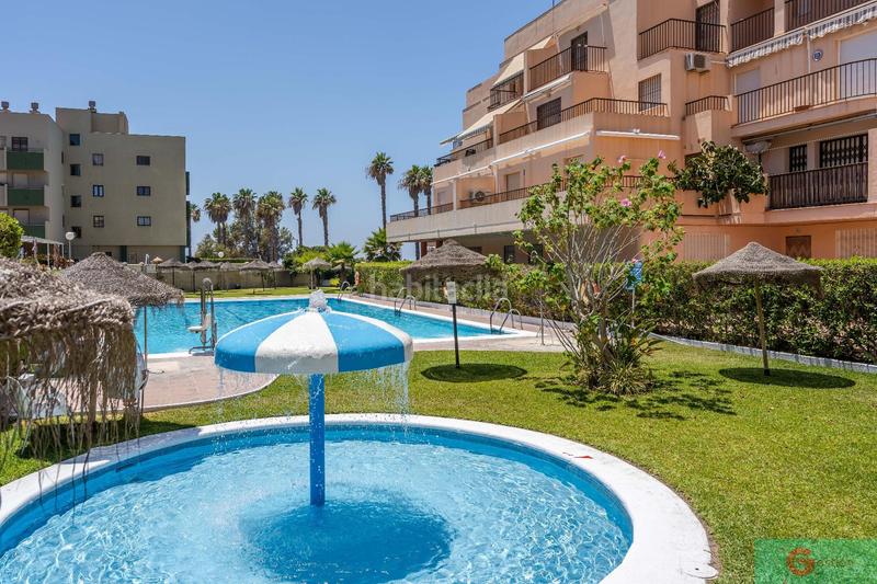 Foto cbb8bd39-6393-4996-aee2-6b348c101bc3. Apartament amb piscina a Salobreña costa Salobreña