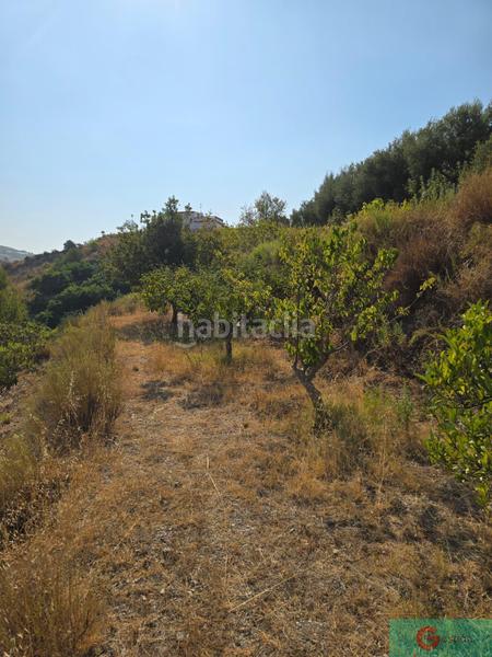 Foto 5f66e95c-1181-4f56-ab17-4d3a9fe080ad. Masía finca de recreo en Molvízar